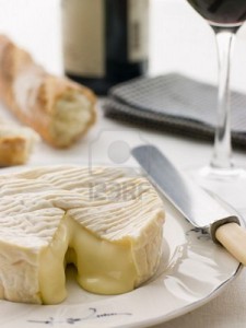 Camembert